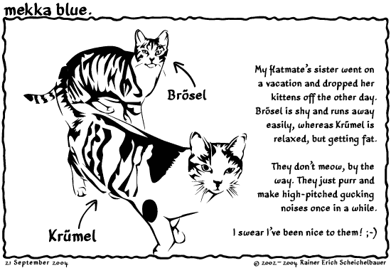 Cats on vacation. Cats on vacation.